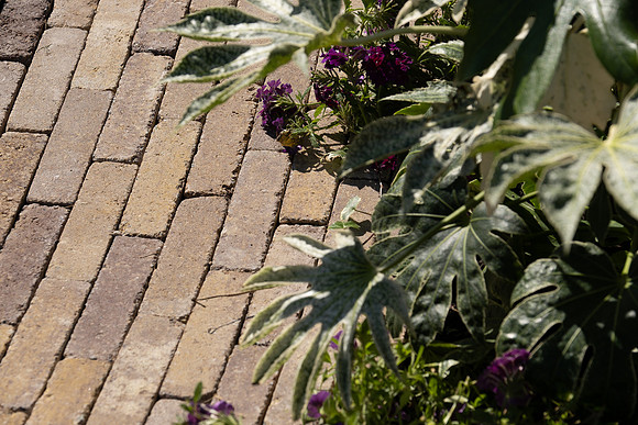 DSCF7205