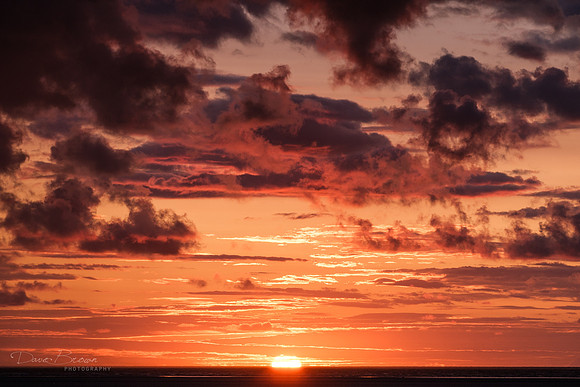 DSCF4544