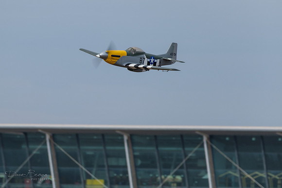 DSCF3173