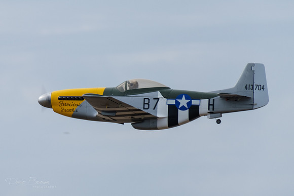 DSCF3175