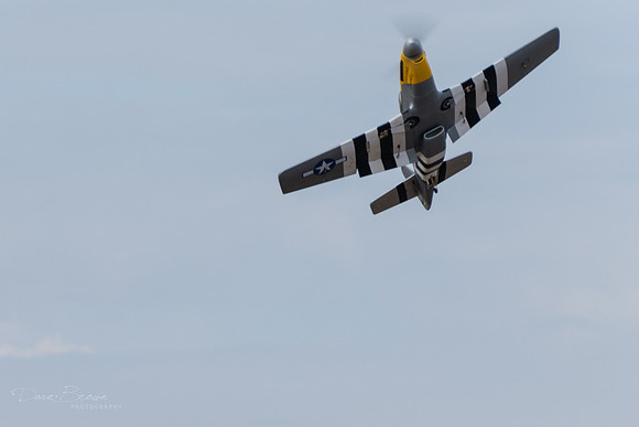 DSCF3191