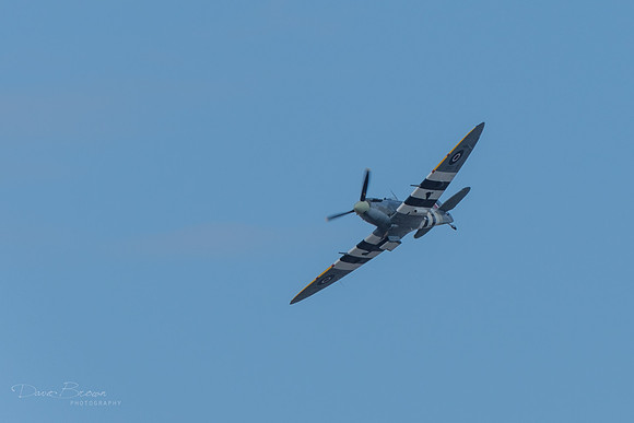 DSCF2946