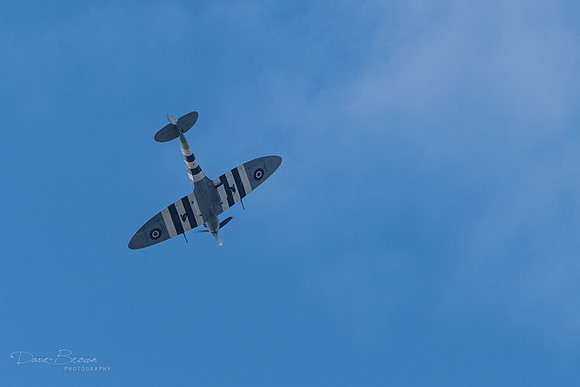 DSCF2941