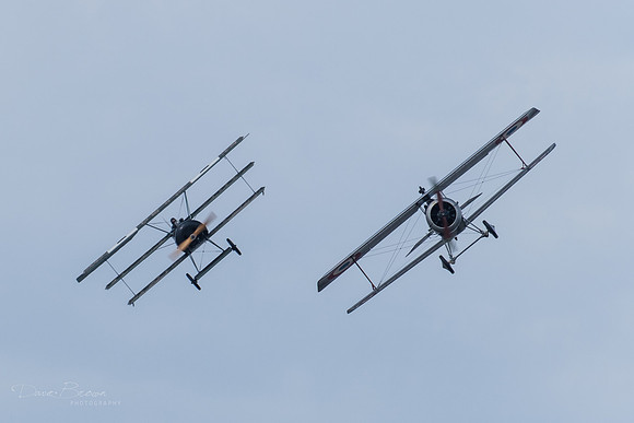 DSCF3107