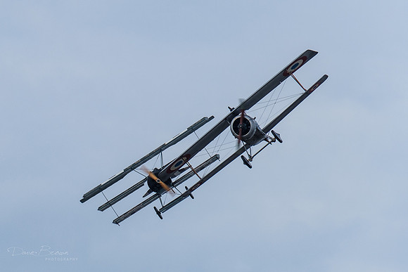 DSCF3109