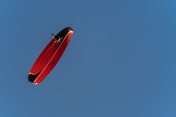 DSCF6561