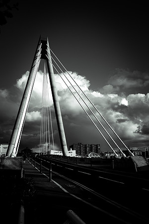 DSCF2546