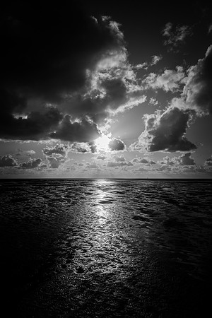 DSCF2530