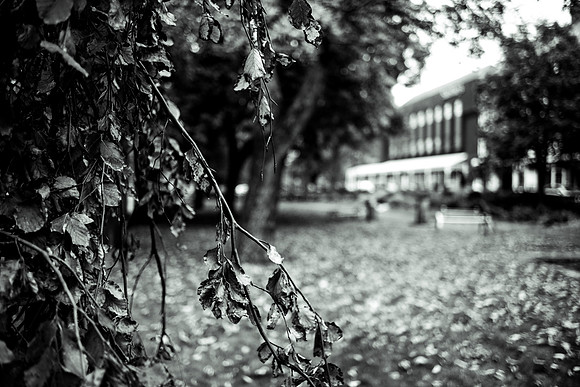 DSCF2613