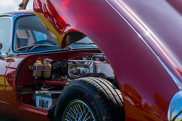 DSCF8409