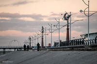 DSCF1153